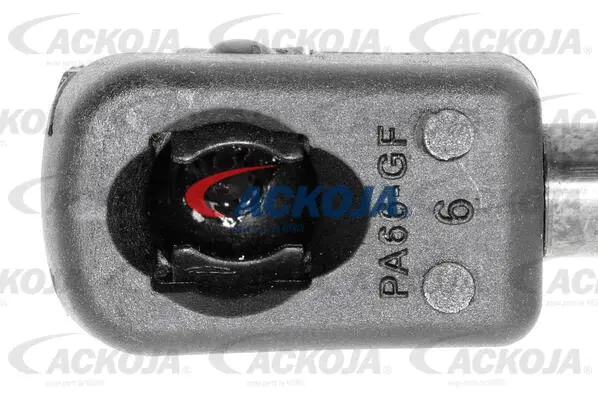 Gas Spring, boot/cargo area