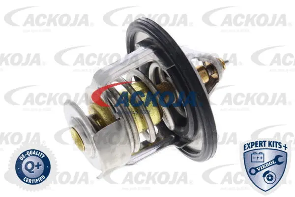 Thermostat, coolant