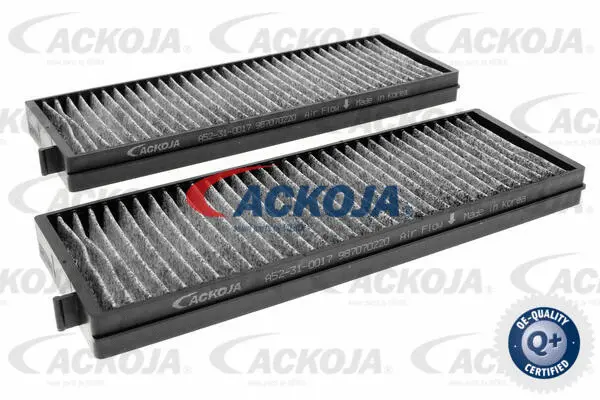 Filter, cabin air (A52-31-0017)