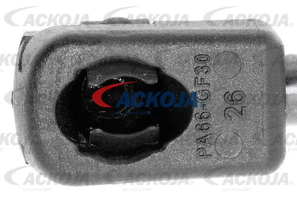 Gas Spring, boot/cargo area