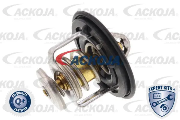 Thermostat, coolant
