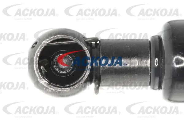 Gas Spring, boot/cargo area