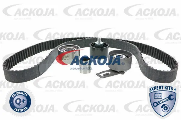 Timing Belt Kit