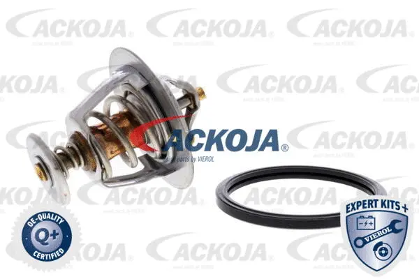 Thermostat, coolant
