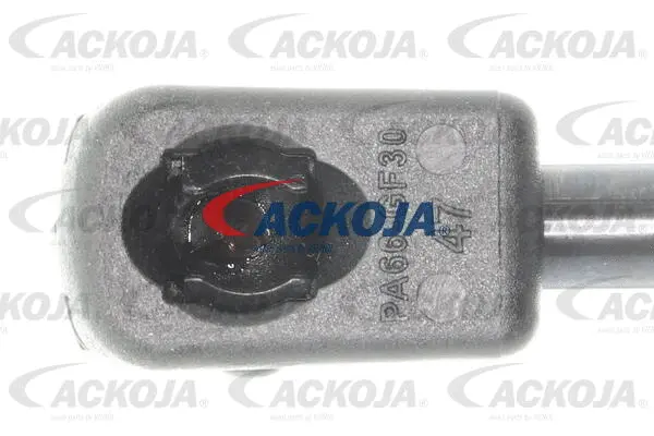 Gas Spring, boot/cargo area