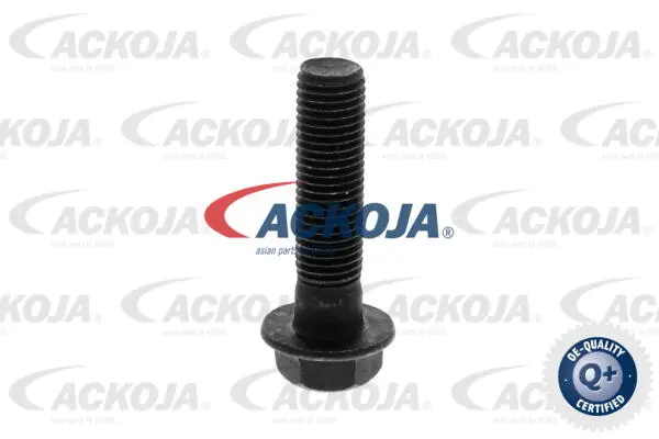 Camshaft Adjuster