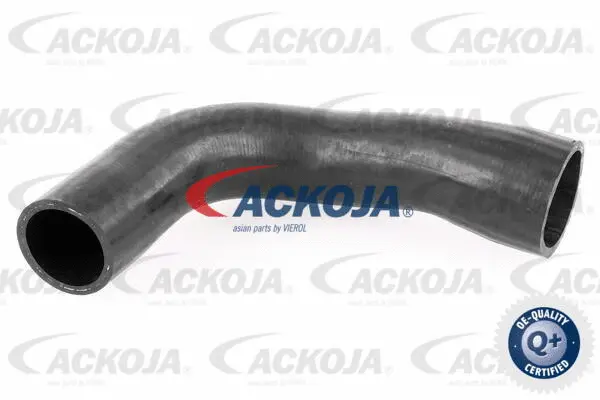 Charge Air Hose
