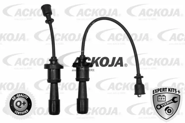 Ignition Cable Kit