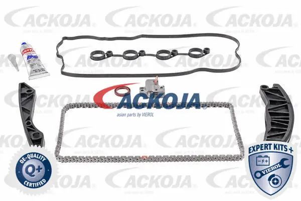 Timing Chain Kit