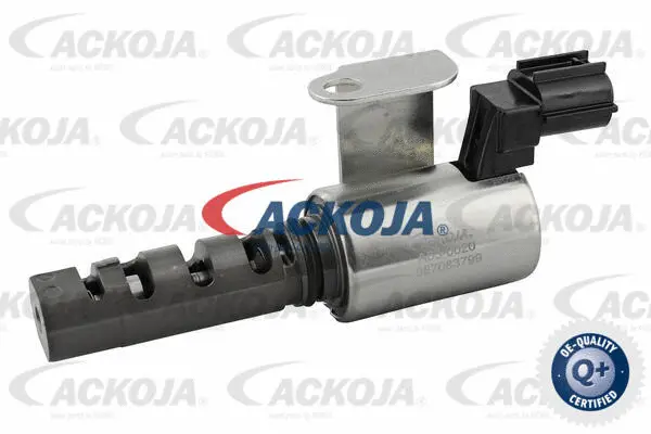 Control Valve, camshaft adjustment