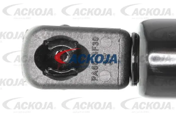 Gas Spring, boot/cargo area