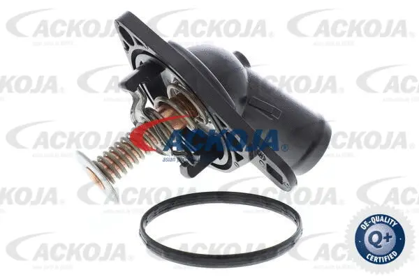 Thermostat, coolant