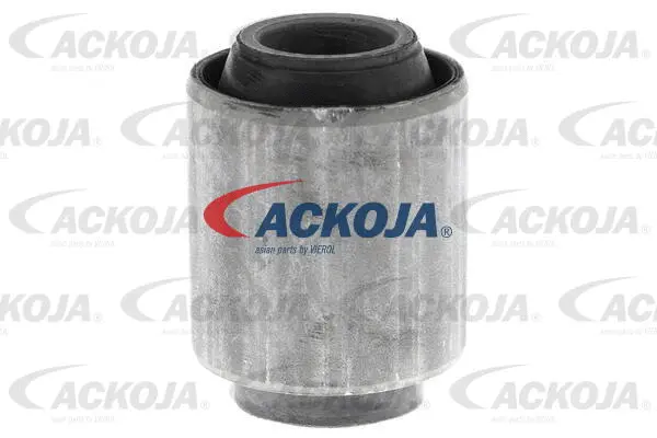 Mounting, control/trailing arm