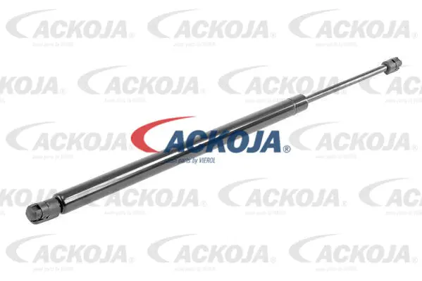 Gas Spring, boot/cargo area