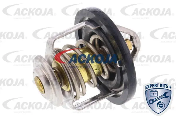 Thermostat, coolant