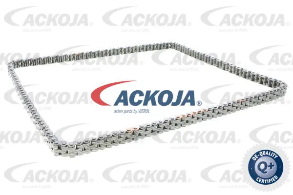 Timing Chain Kit