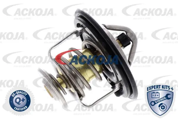 Thermostat, coolant