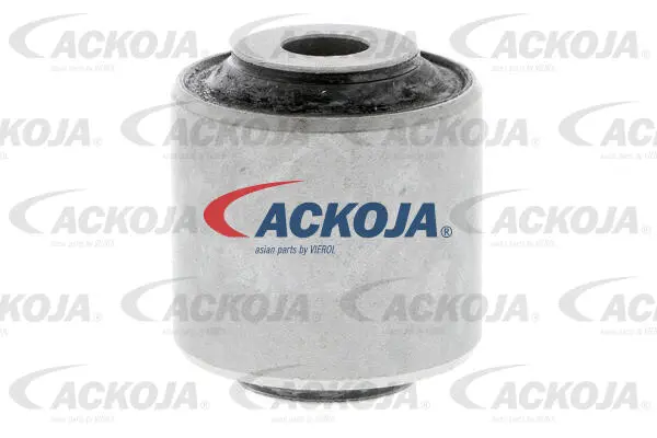 Mounting, control/trailing arm