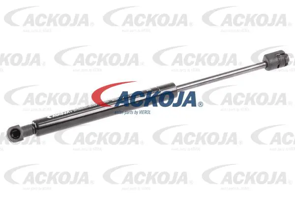 Gas Spring, boot/cargo area