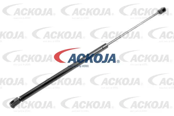 Gas Spring, boot/cargo area