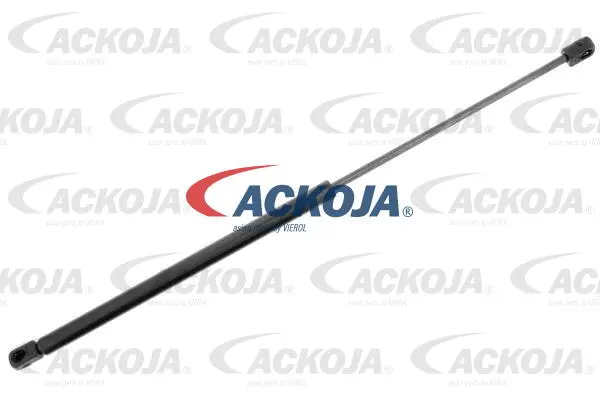 Gas Spring, boot/cargo area