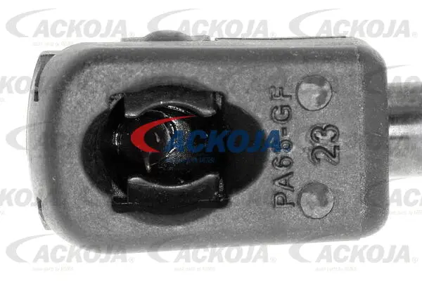 Gas Spring, boot/cargo area