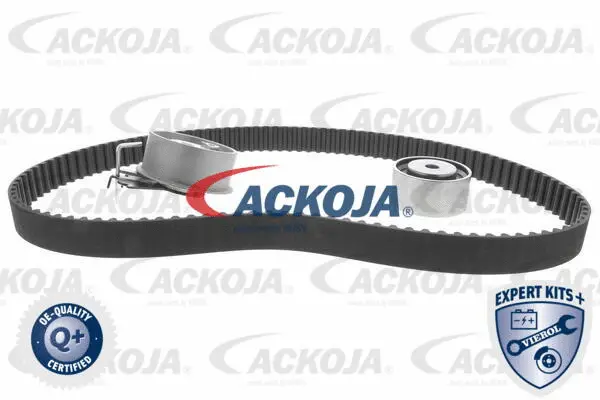 Timing Belt Kit