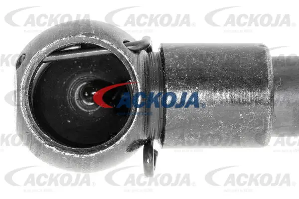 Gas Spring, boot/cargo area