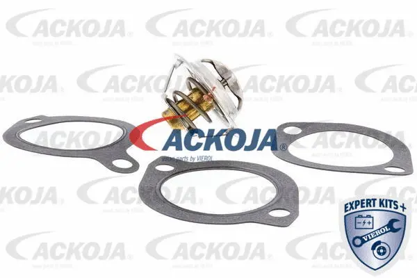 Thermostat, coolant (A32-99-1702)