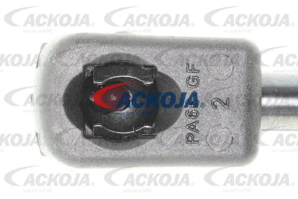 Gas Spring, boot/cargo area