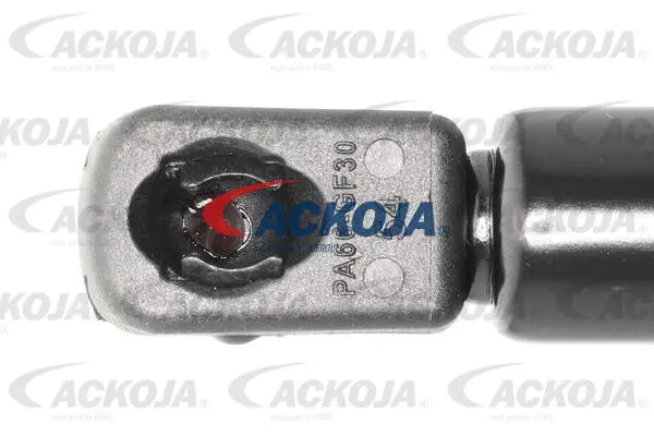 Gas Spring, boot/cargo area