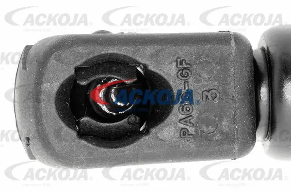 Gas Spring, boot/cargo area
