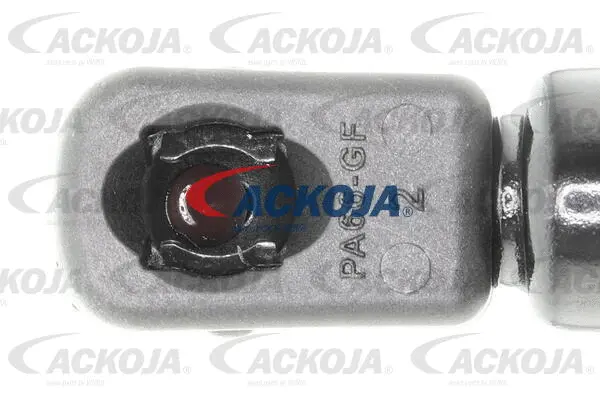 Gas Spring, boot/cargo area