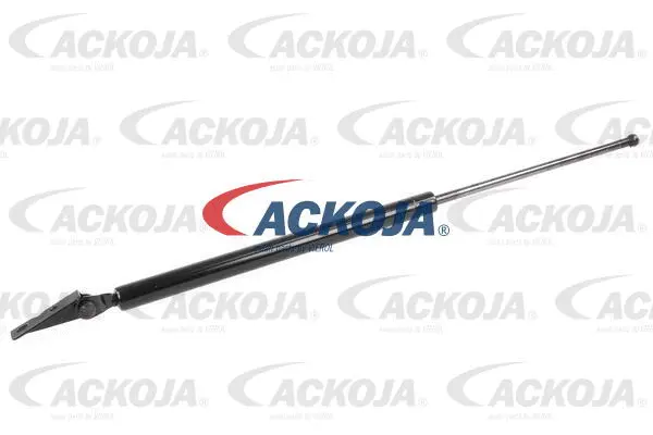 Gas Spring, boot/cargo area