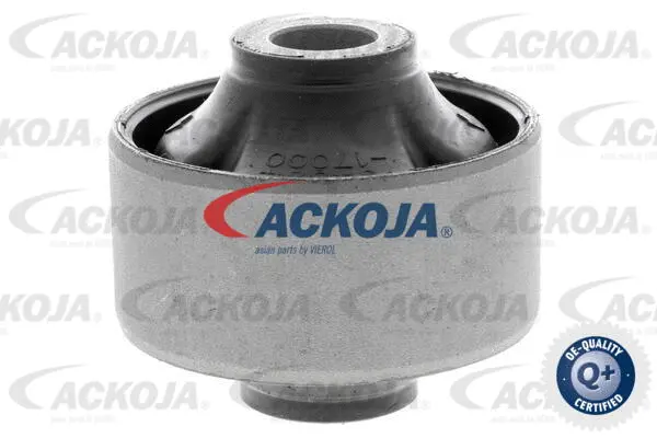 Mounting, control/trailing arm