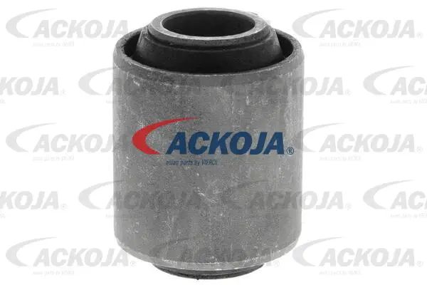 Mounting, control/trailing arm