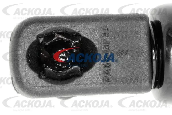 Gas Spring, boot/cargo area