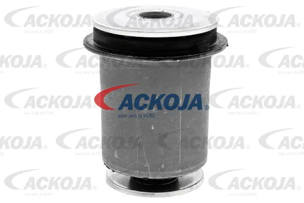 Mounting, control/trailing arm
