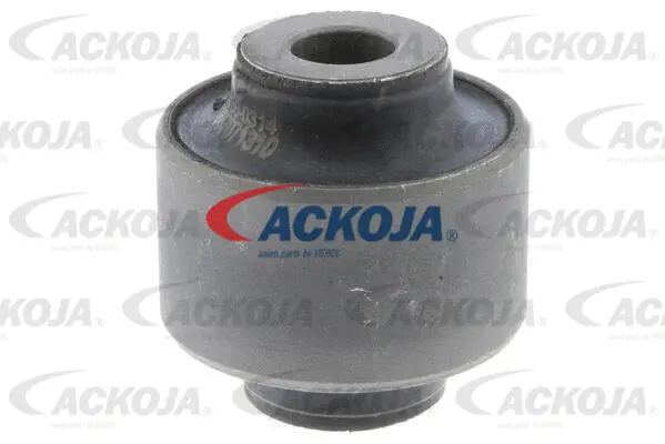Mounting, control/trailing arm