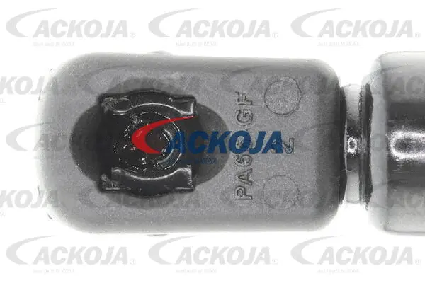 Gas Spring, boot/cargo area
