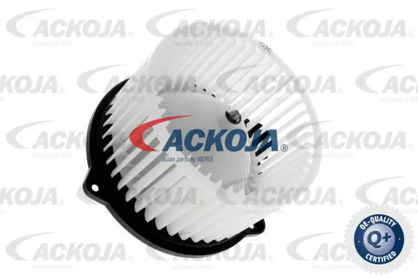 Interior Blower