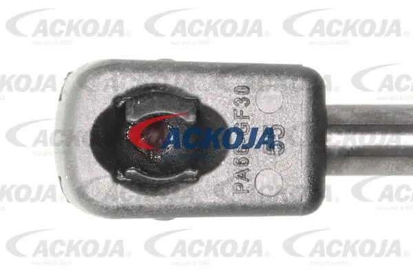 Gas Spring, boot/cargo area