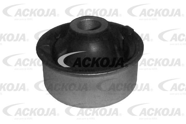 Mounting, control/trailing arm