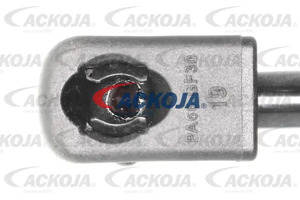 Gas Spring, boot/cargo area