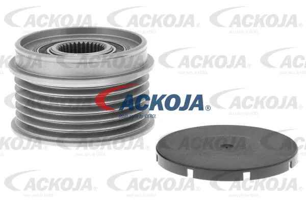 Alternator Freewheel Clutch