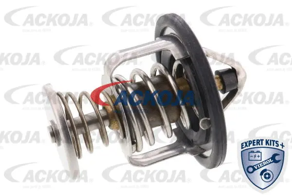 Thermostat, coolant