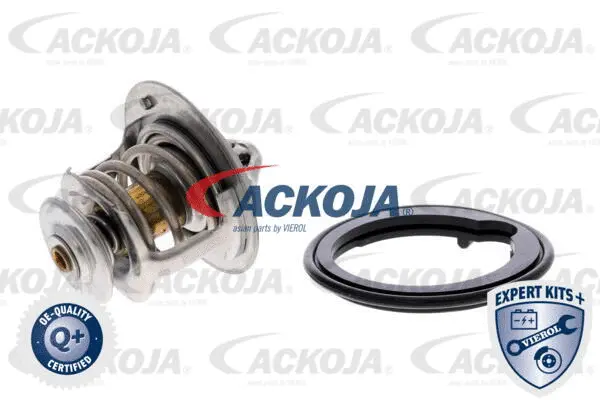 Thermostat, coolant