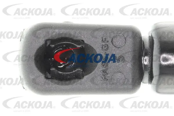 Gas Spring, boot/cargo area