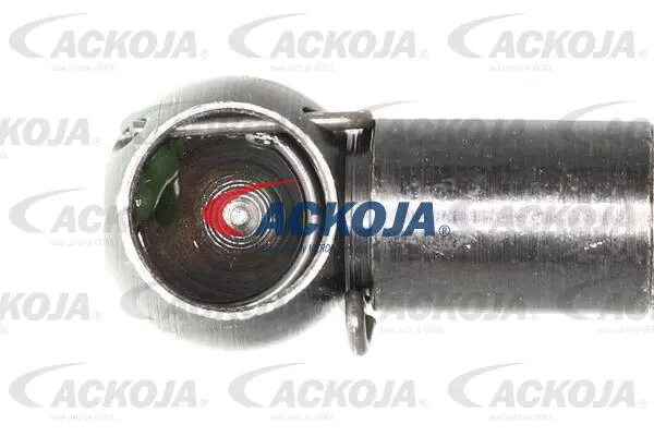 Gas Spring, boot/cargo area