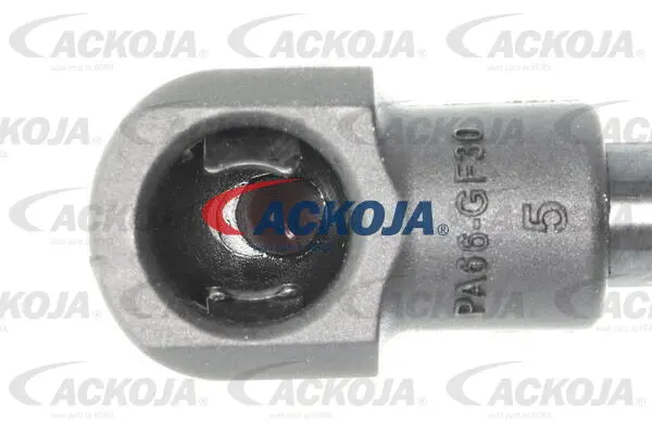 Gas Spring, boot/cargo area